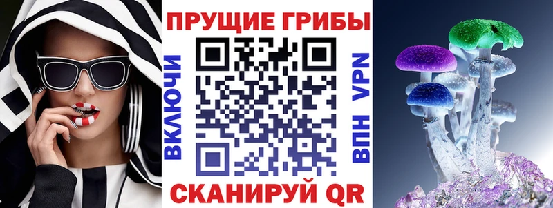 Галлюциногенные грибы Psilocybe Лаишево