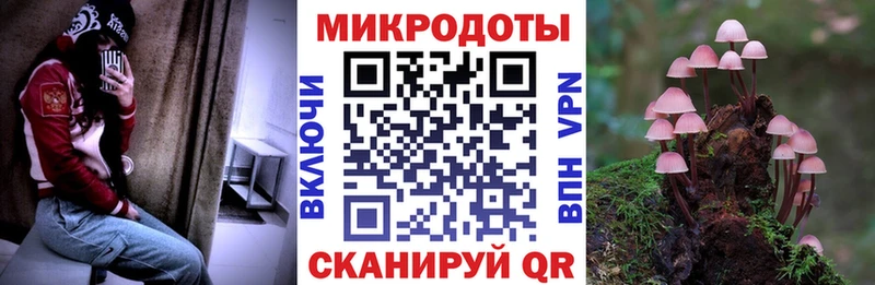 Галлюциногенные грибы MAGIC MUSHROOMS  Лаишево 